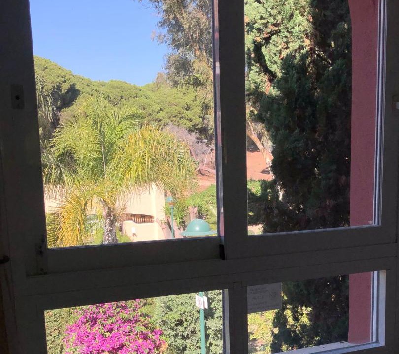 Photo of Others in Marbella