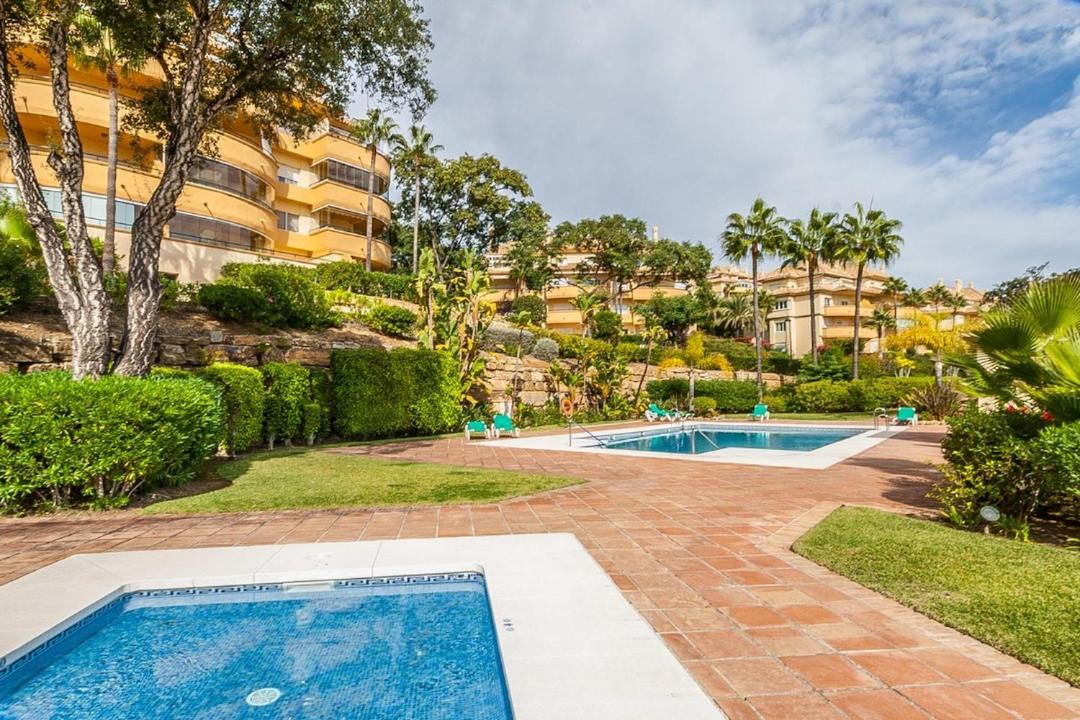 Photo of Outdoor in Elviria