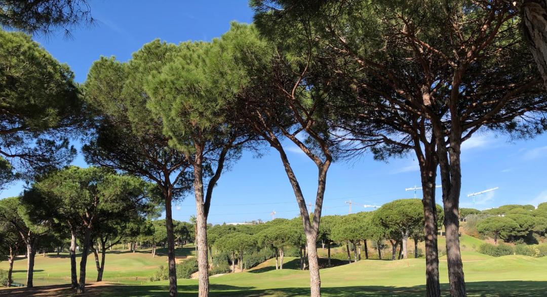 Photo of Outdoor in Marbella