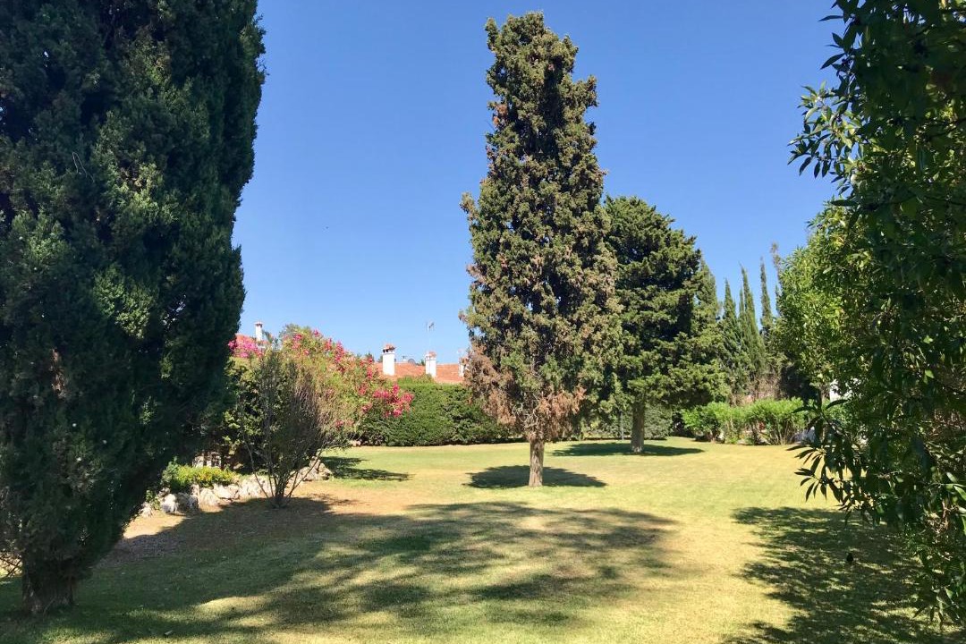 Photo of Others in Urbanizacion Costabella