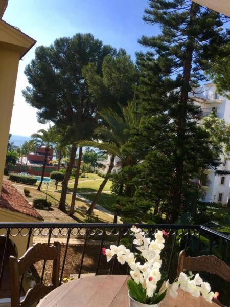 Photo of Others in Puerto Banus
