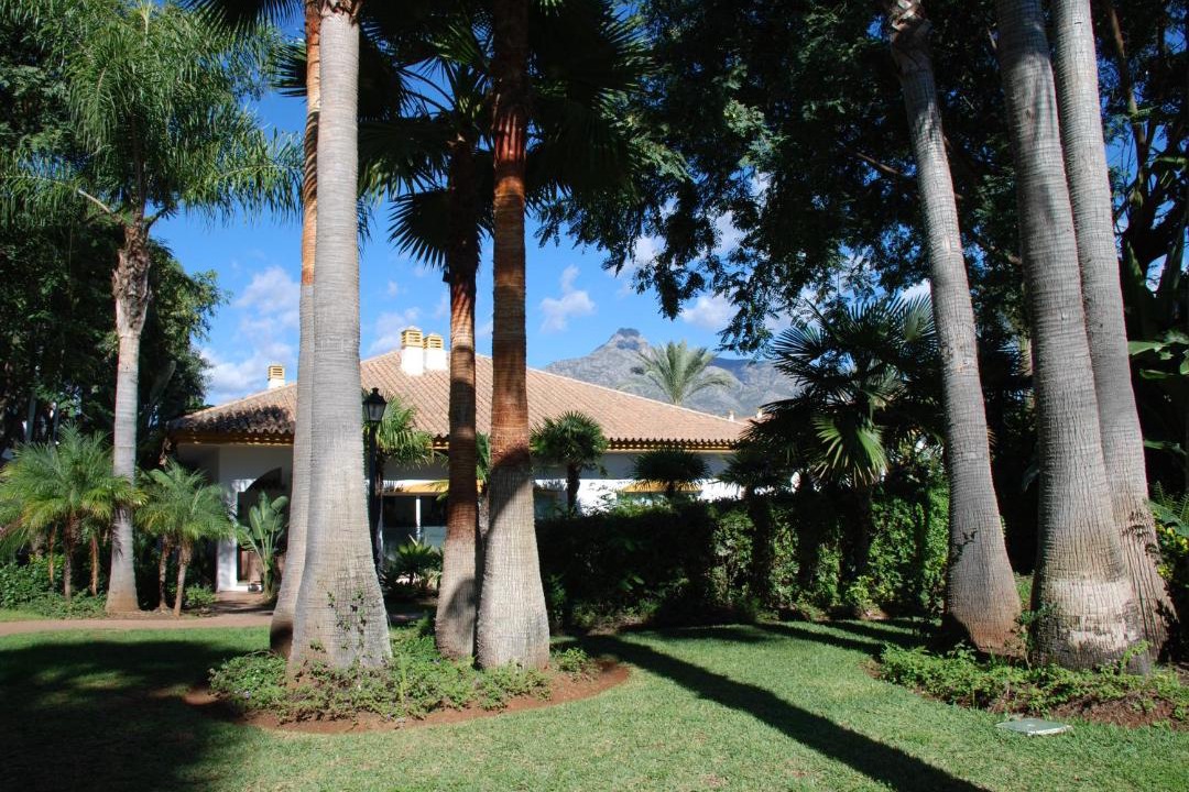 Photo of Others in Marbella