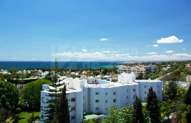 Photo of Others in Marbella