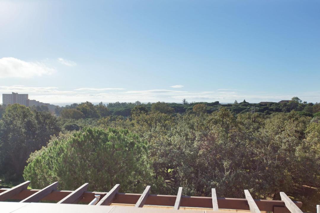 Photo of Outdoor in Marbella