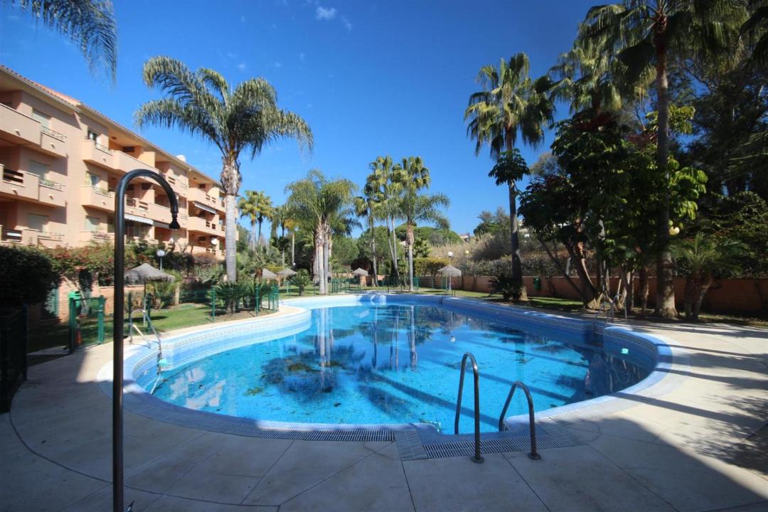 Photo of Outdoor in Carib Playa